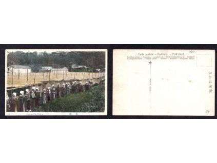 ČAJ. č. 01. Japanese Tea Pickers.