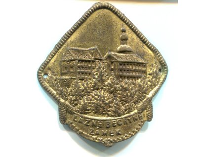 Z029