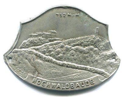 Z613