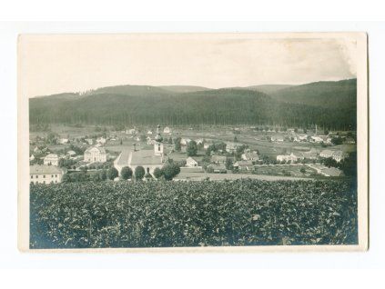 ZVEJK181
