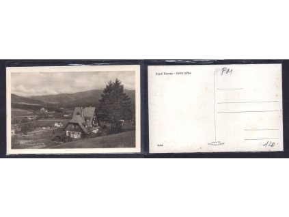 ZWMM 009