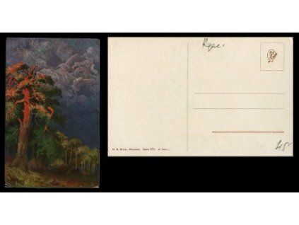 Pohled na les.