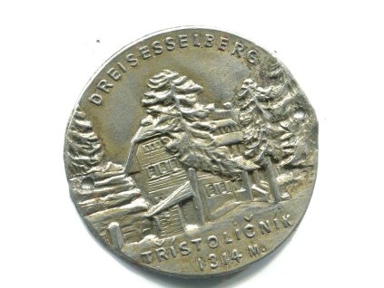 Z363