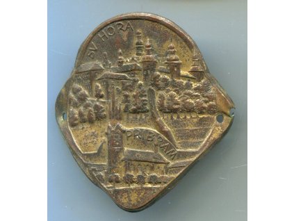 Z951