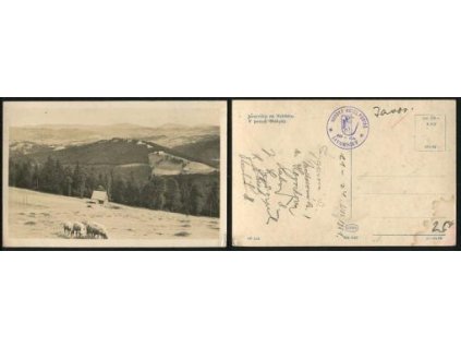 JAVORNÍKY. V pozadí Beskydy. 1981.