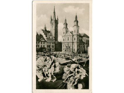 das194