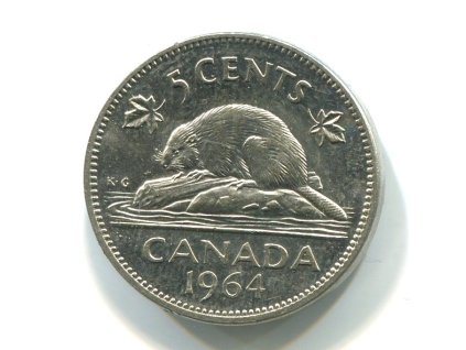 A513