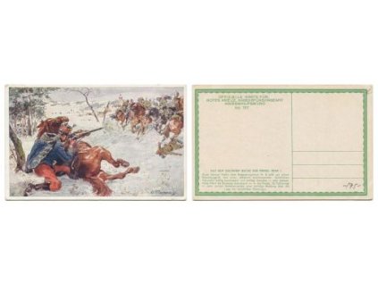 Nr. 197. Offizielle karte für: Rotes Kreuz, Kriegsfürsorgeamt Kriegshilfsbüro