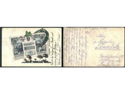 Rakouské bankovky na pohlednici. 1905.
