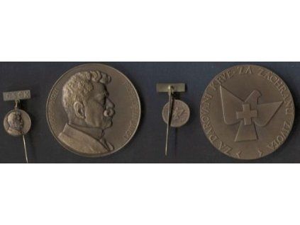 Janského bronzová plaketa za dárcovství krve s miniaturou.