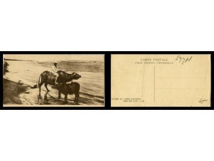 Fotografie muže z Egypta.