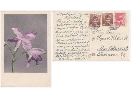 Kytice. 1946