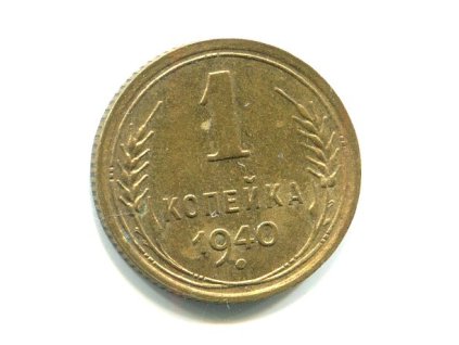 Y019