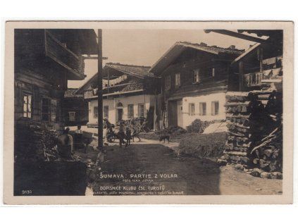 Šumava: Partie z Volar.