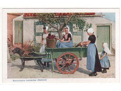 NIZOZEMSKO. Walchersche hondenkar (Zeeland).