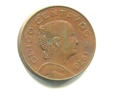 G491