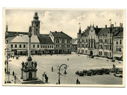 das229