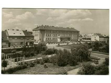 das337