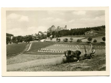 das313