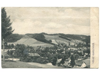 das1019
