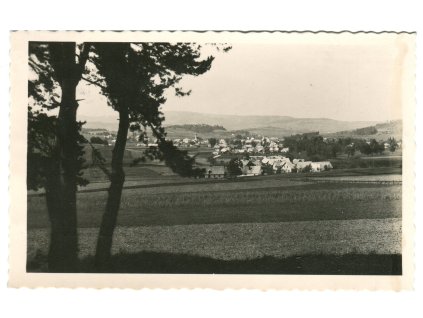 dar736
