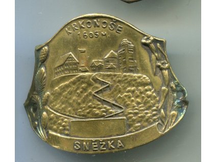 Z919