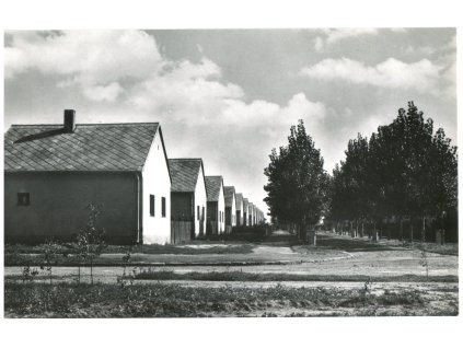 daa629