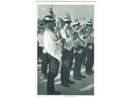 dav019
