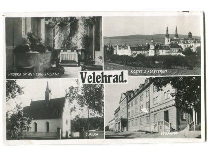vvv037