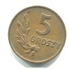 POLSKO. 5 groszy 1949. Bronz.