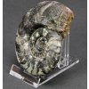 Akrylový stojan 7,5×13×8¨10,5 cm - 3